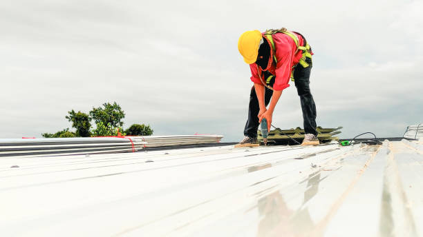 Best Skylight Installation and Repair  in Goodlettsville, TN